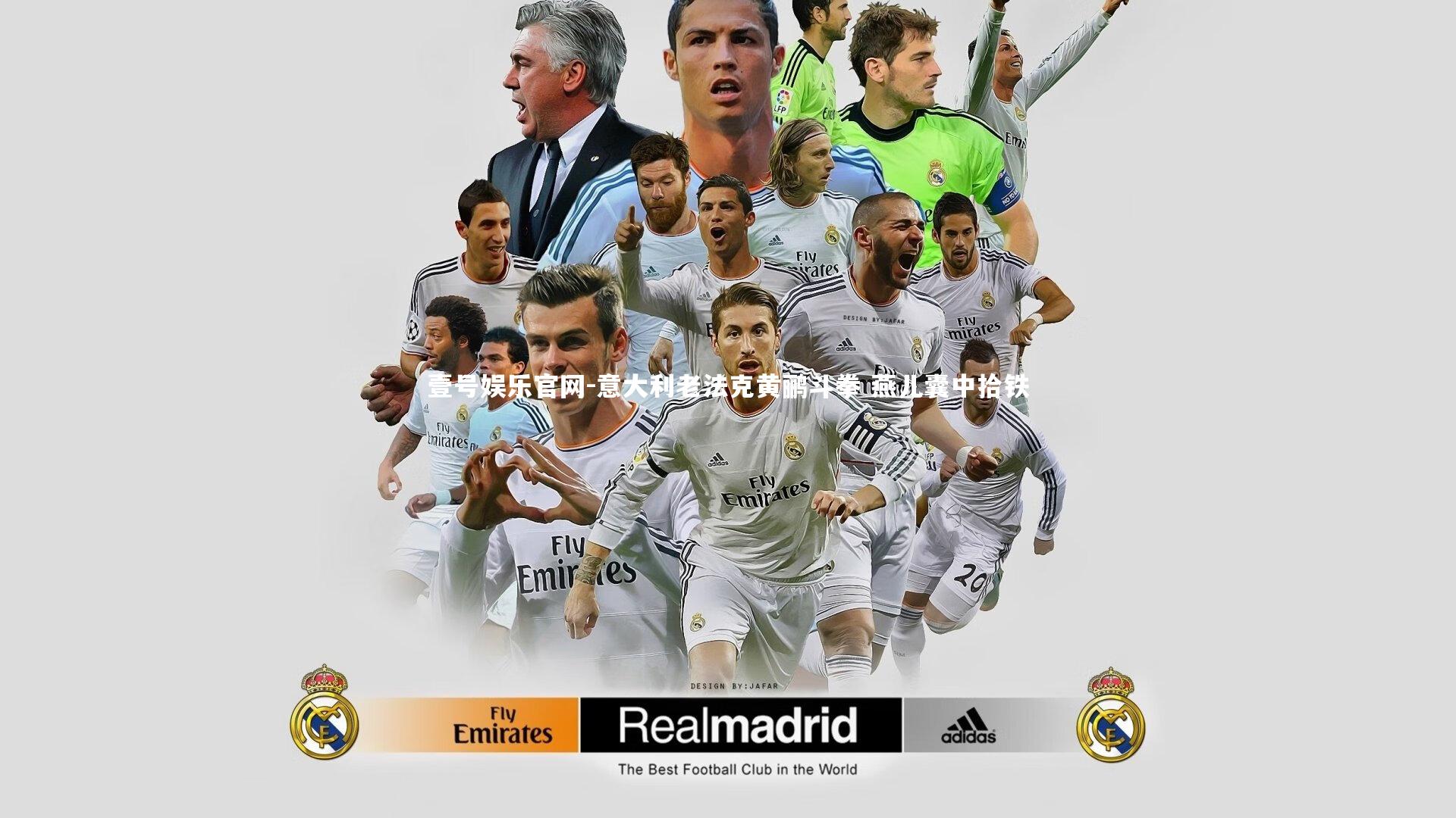 意大利老法克黄鹂斗拳 燕儿囊中拾铁