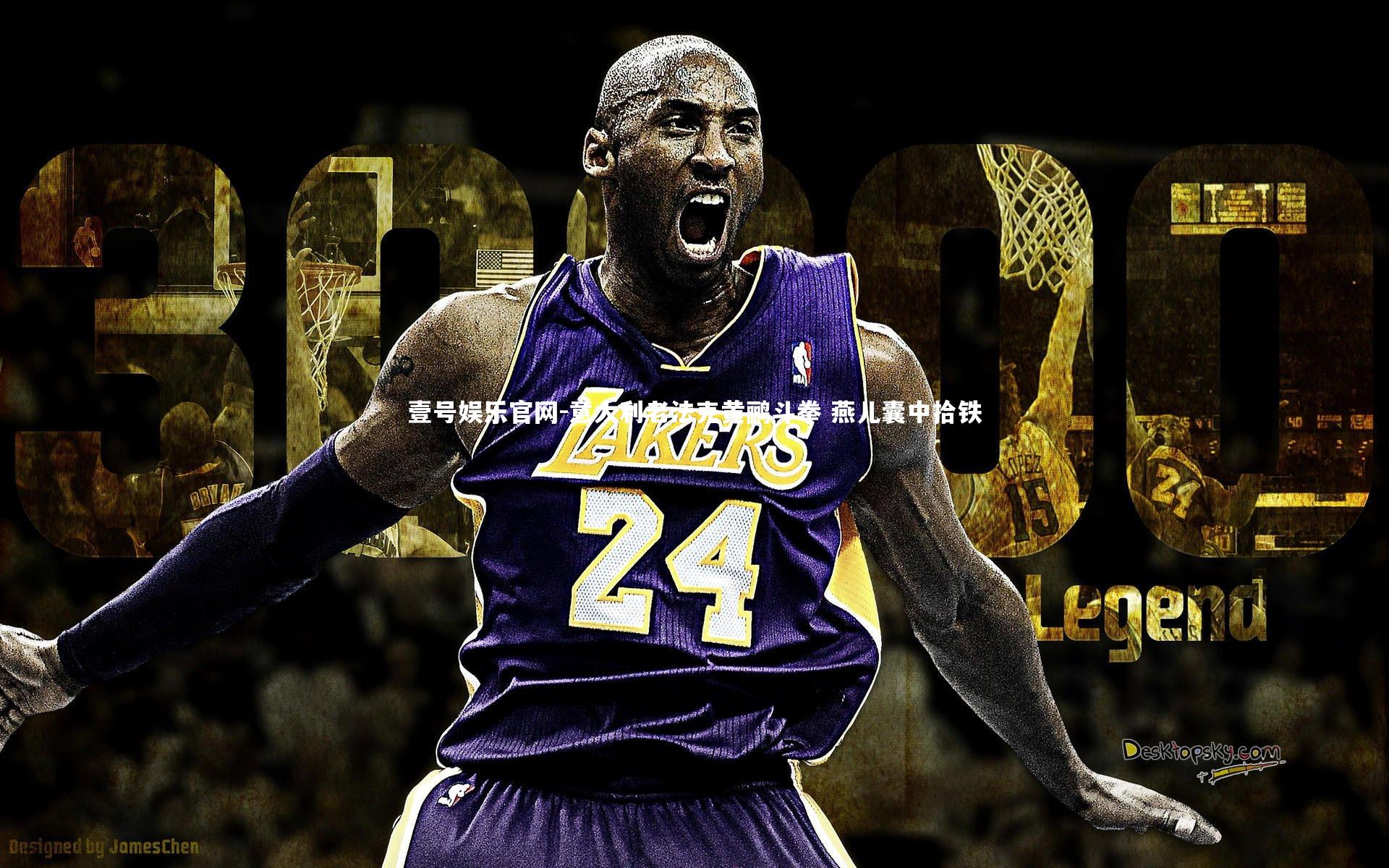 意大利老法克黄鹂斗拳 燕儿囊中拾铁