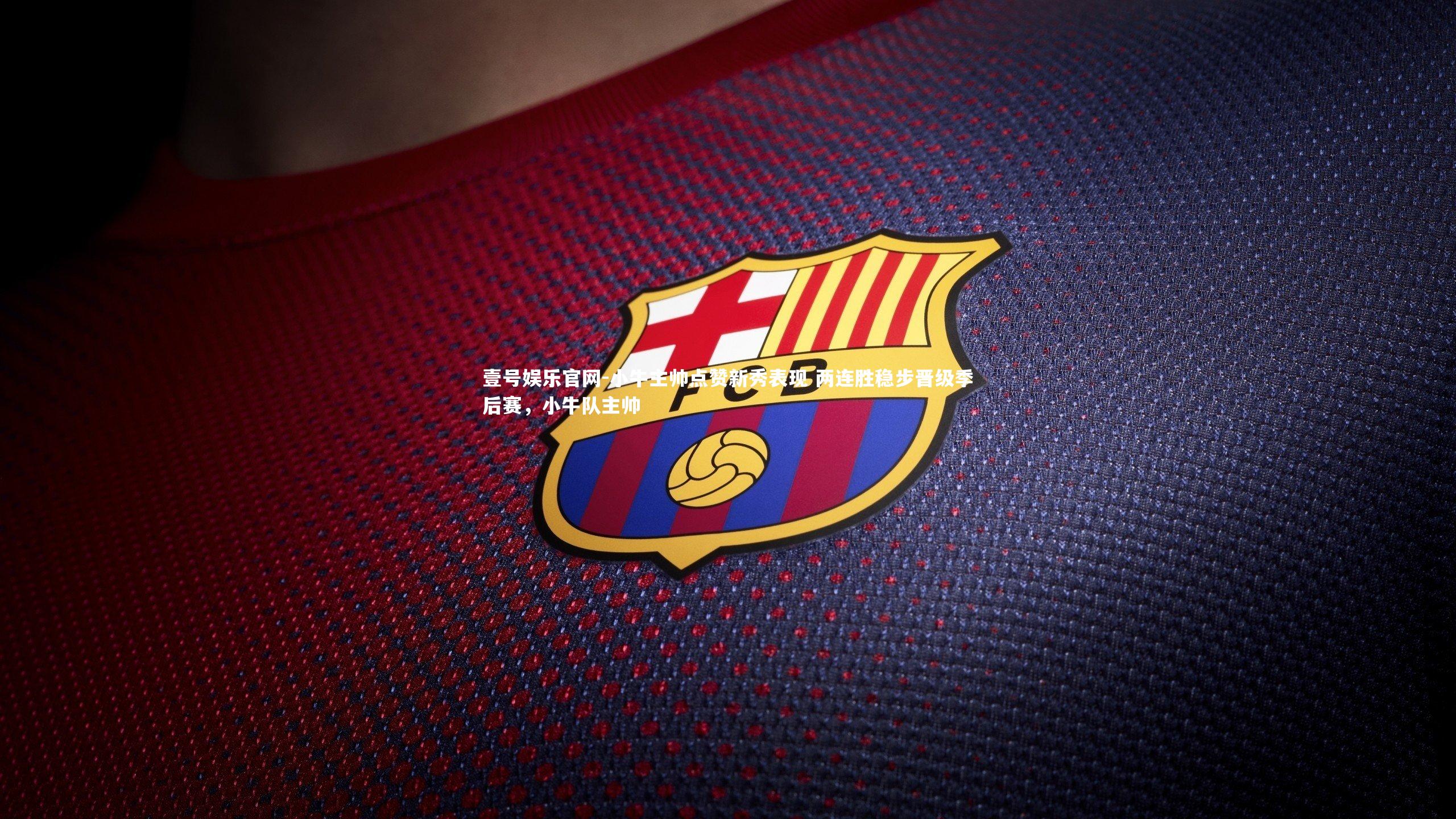 小牛主帅点赞新秀表现 两连胜稳步晋级季后赛，小牛队主帅